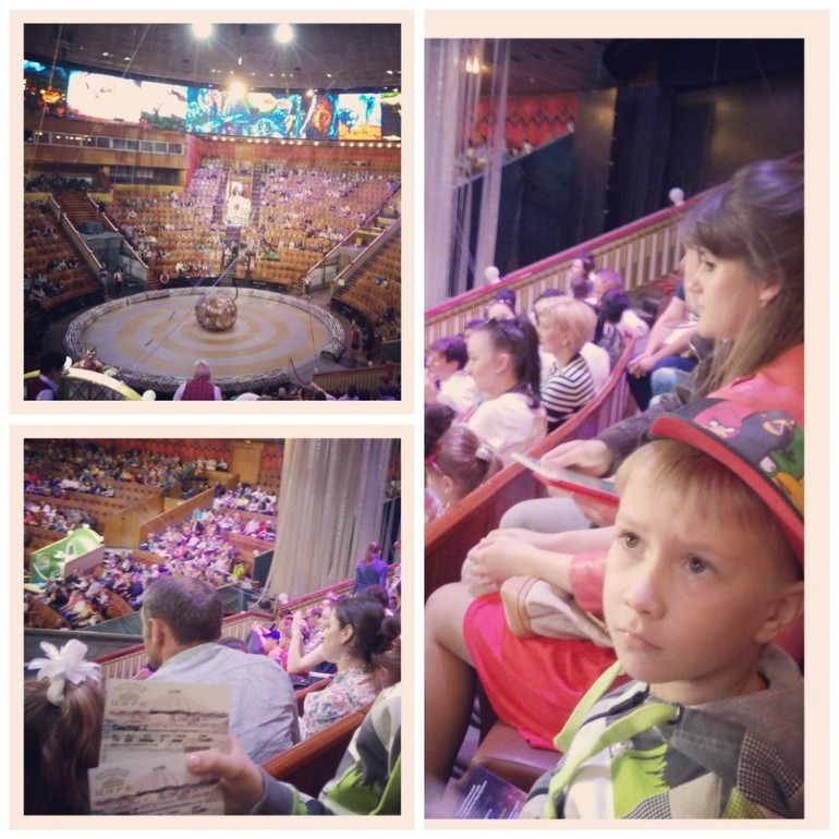 2 мая 2014 ходили в цирк