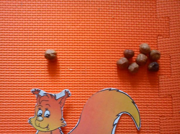 Лесные друзья. День 5 . Белка.