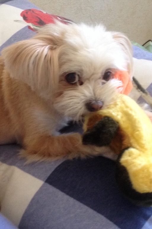 Наши новости)