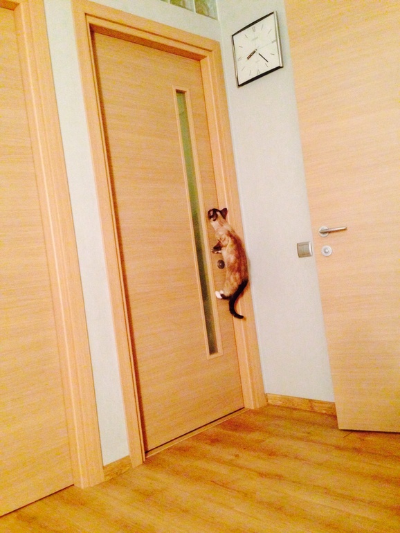 Наоми очень любит круасаны