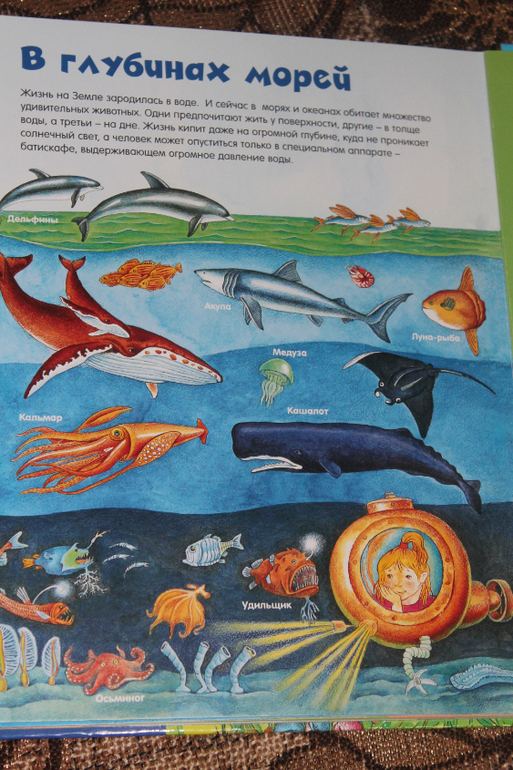 Просто восторг