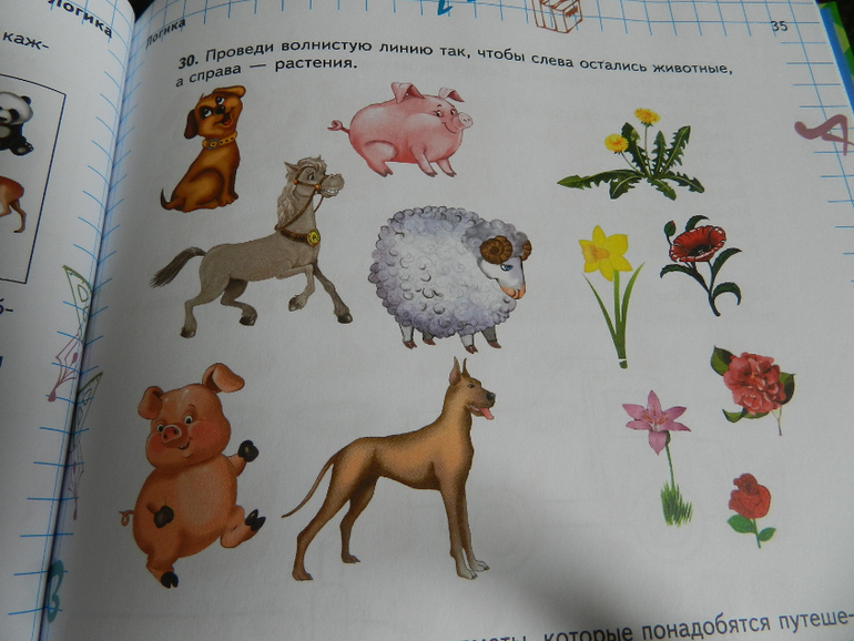 Просто отличная книга для подготовке к школе)