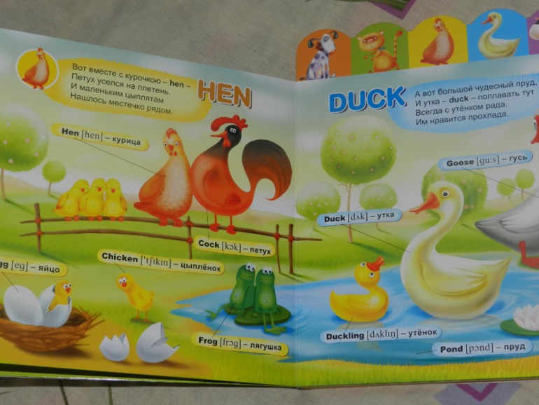 обнавленный большущий хваст)))))))))))))))))))))