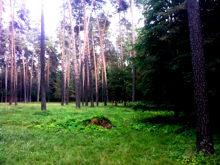 Эксклюзивный участок в Зеленогорске Зеленогорск, ул. Танкистов, участок 163 сотки зеленогорск финский заливЗеленогорск, ул. Танкистов, 12