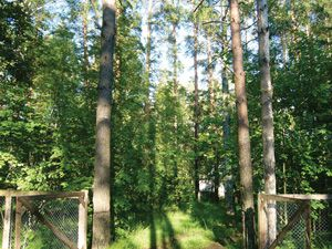 Продажа элитных участков в Репино В поселке Репино на продажу выставлено более 10 земельных объектов.