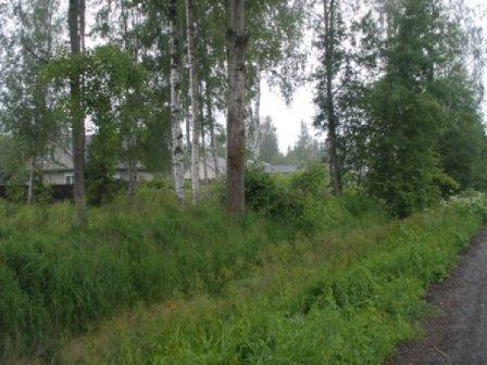 Курортный район, Зеленогорск, 1-й торфяной пер. Участок 12 соток Стоимость 4200 тыс.руб.