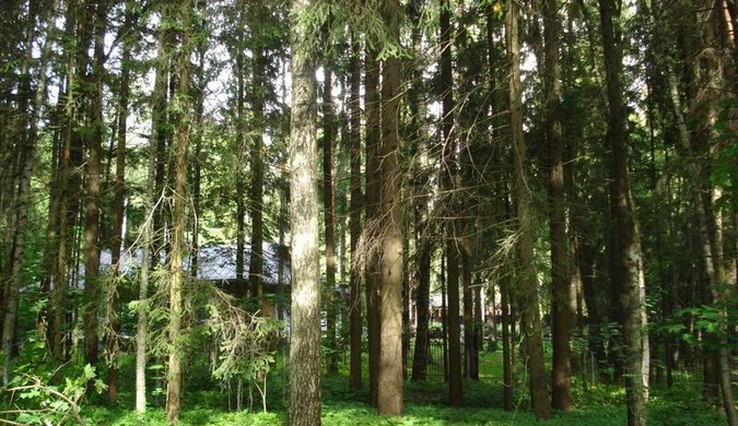 Продажа элитных участков в Репино В поселке Репино на продажу выставлено более 10 земельных объектов.