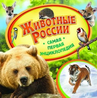 Пополнение библиотеки. Сентябрь - октябрь 2013.