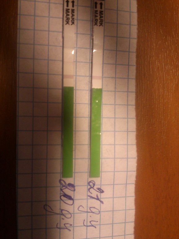 Проба пера) Первый раз делаю тесты. Нужно разъяснение!