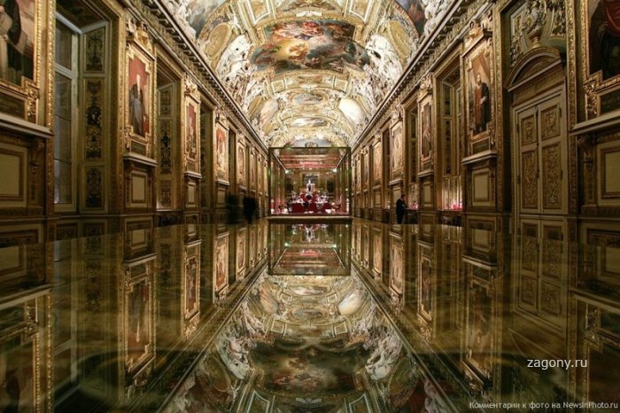 Совместник Риолис. ГАЛЕРЕЯ!!!