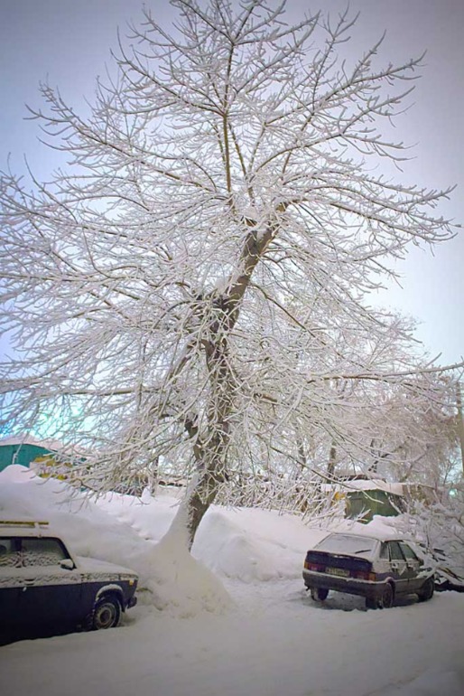 Покажу мой город...