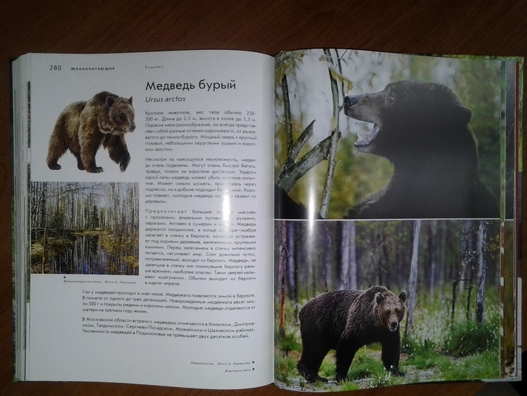 Дикие животные от Эксмо.