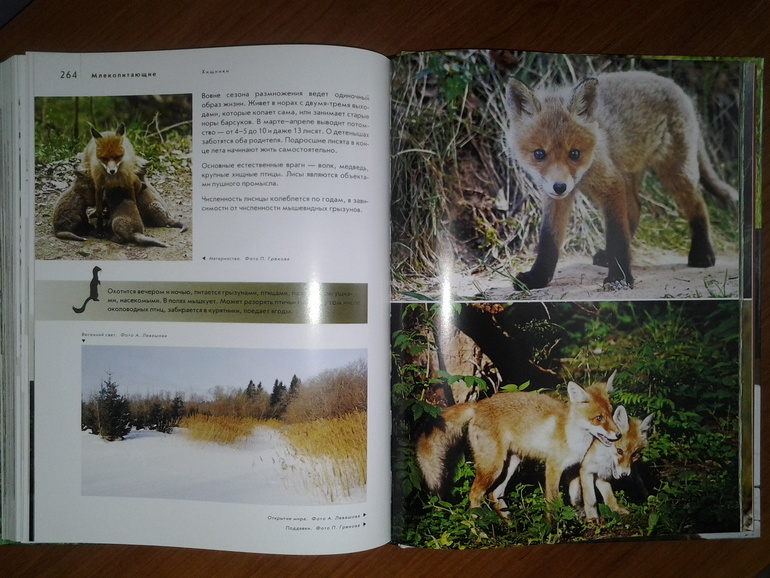 Дикие животные от Эксмо.