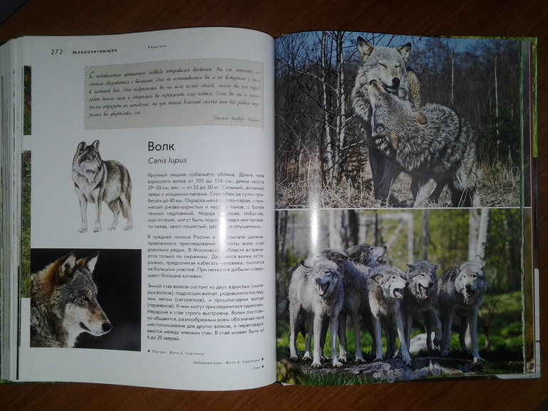 Дикие животные от Эксмо.