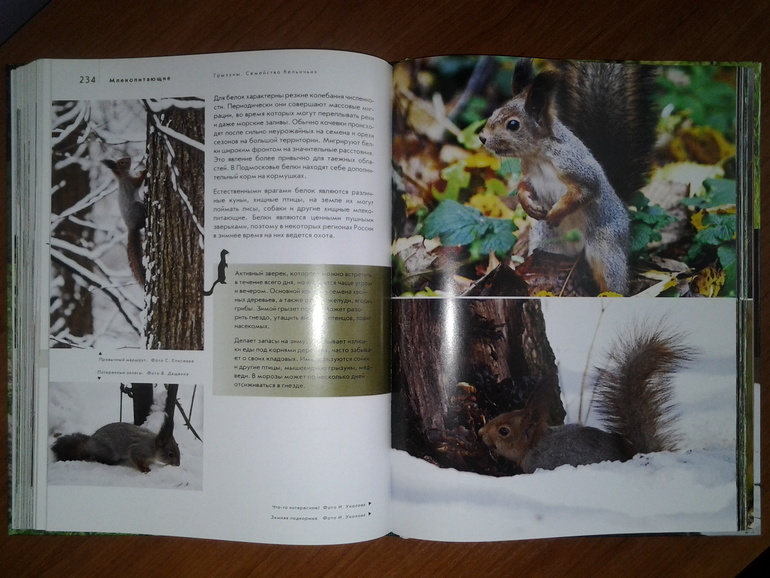 Дикие животные от Эксмо.