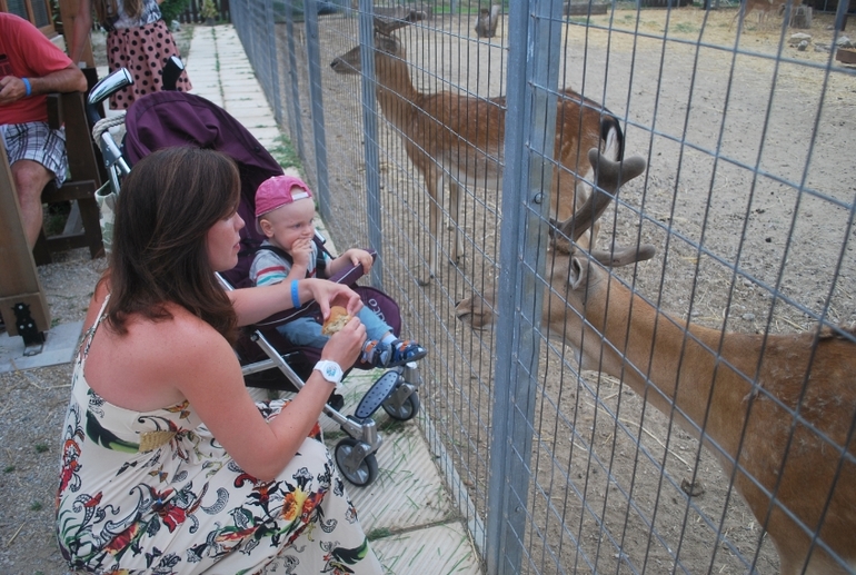 Греция. Остров КОС. Gaia Palace 5* (отзыв)