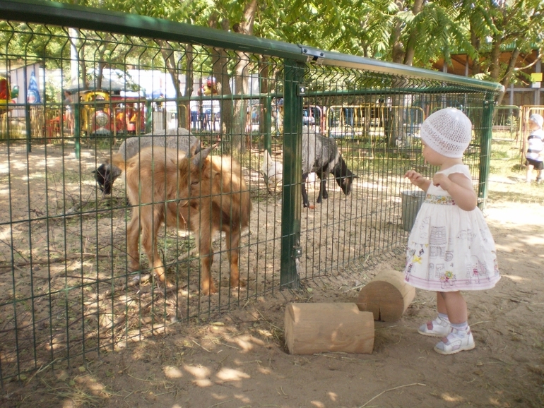 Зоопарк