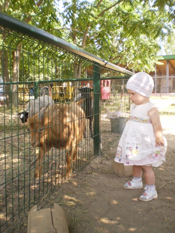 Зоопарк