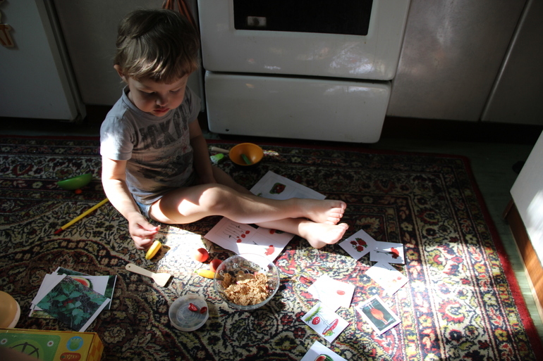 ТЗ Красный цвет. Ягоды.