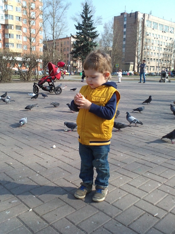 ТН Весне дорогу! День N-ный, N+1-вый и так далее...)