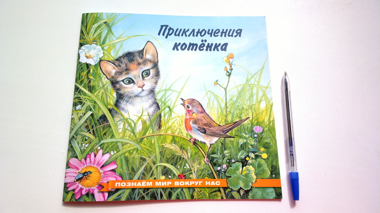 Приключения котенка