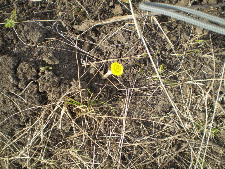 Земля в Москве