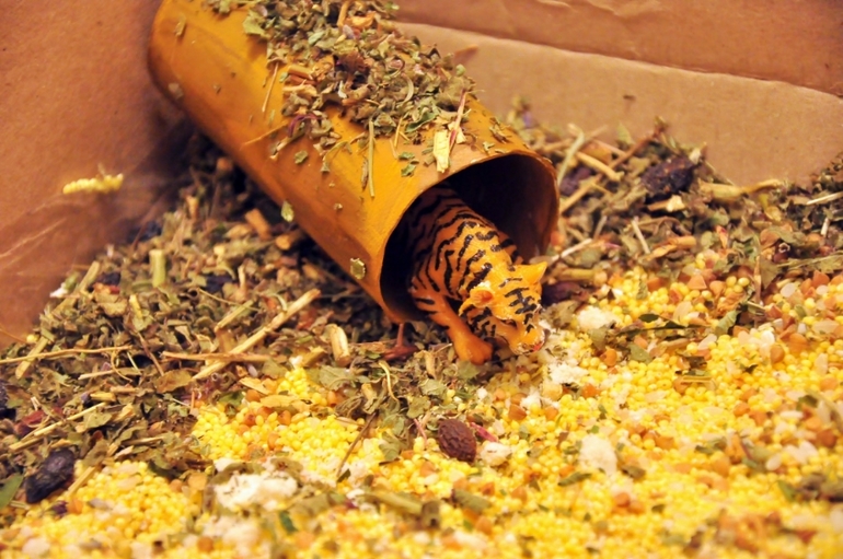 Домашнее извержение вулкана + тактильная саввана.