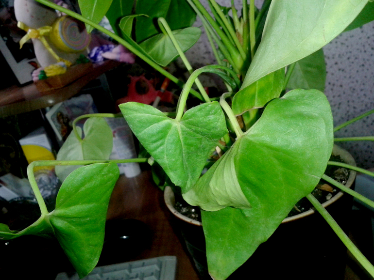 Что-то не так...