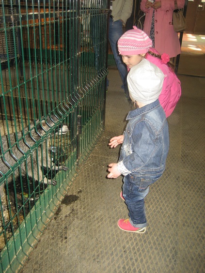 Национальный Конный Парк «РУСЬ»