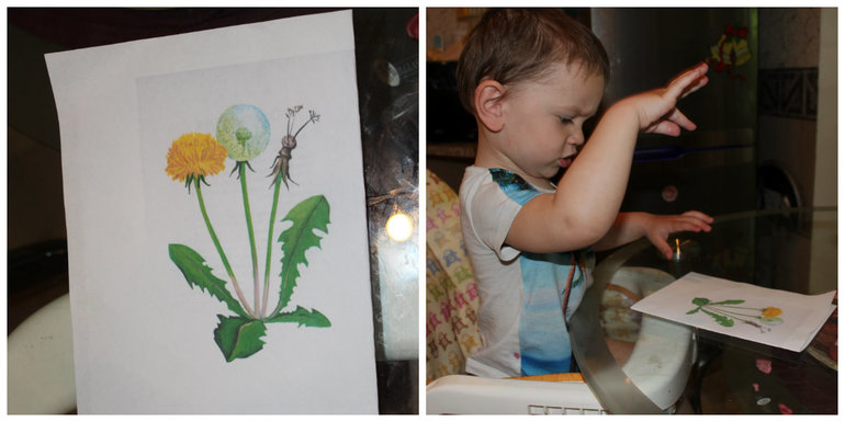 ТЗ Солнышко на ножке