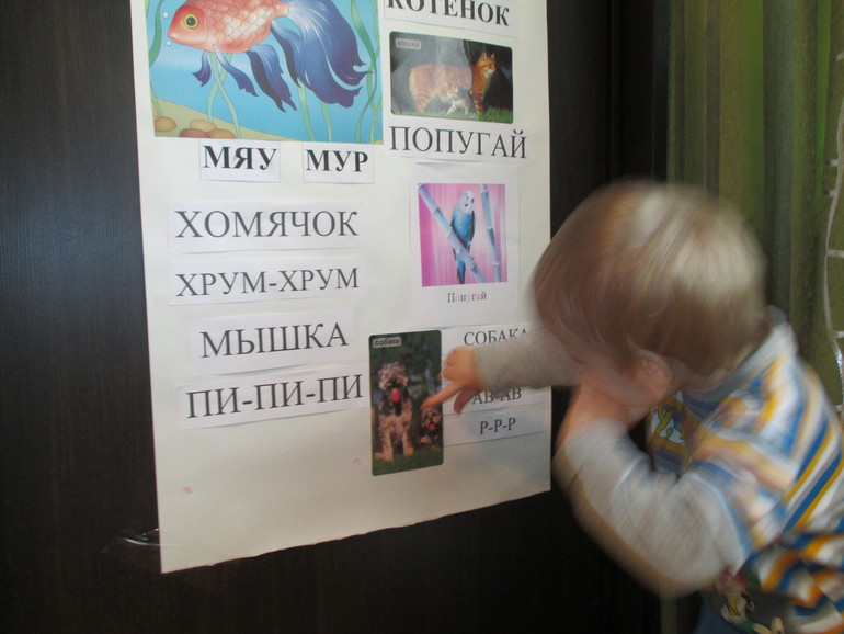 ФМ Животные в квартире. День пятый - Собака.