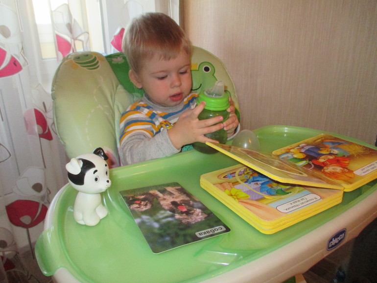 ФМ Животные в квартире. День пятый - Собака.