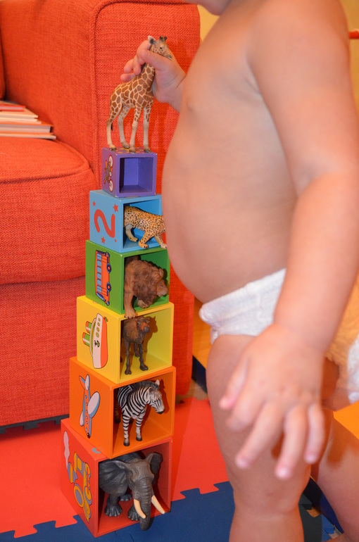 ТН Африка д.3