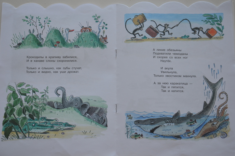 Наши новые книги ( 1 год и 6 месяцев)