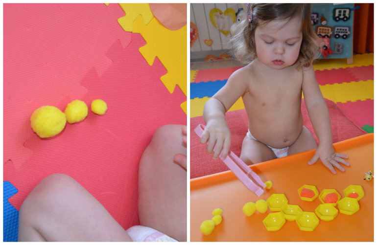 ТН Насекомые. Пчела.