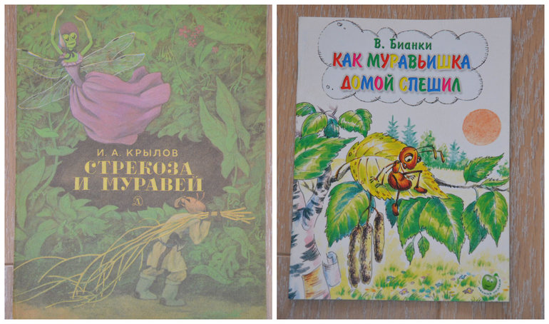 ТН Насекомые. Стрекоза и муравей.