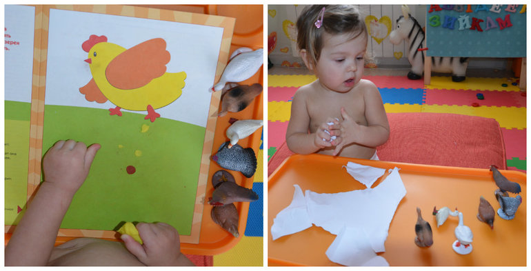 ТН Птицы. Домашние.