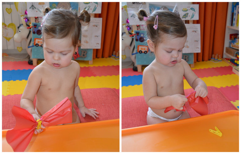 ТН Насекомые. Бабочка.