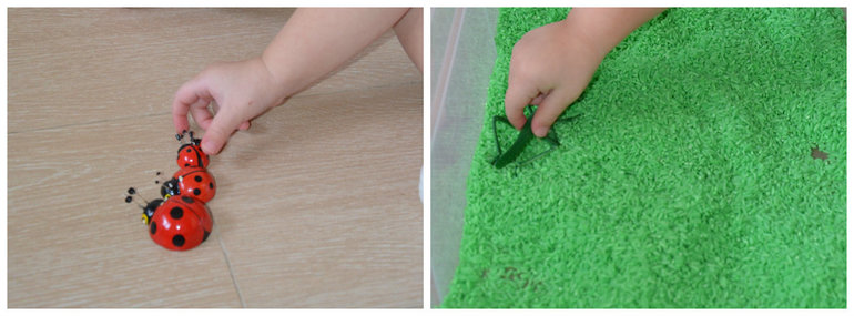 ТН Насекомые. Стрекоза и муравей.