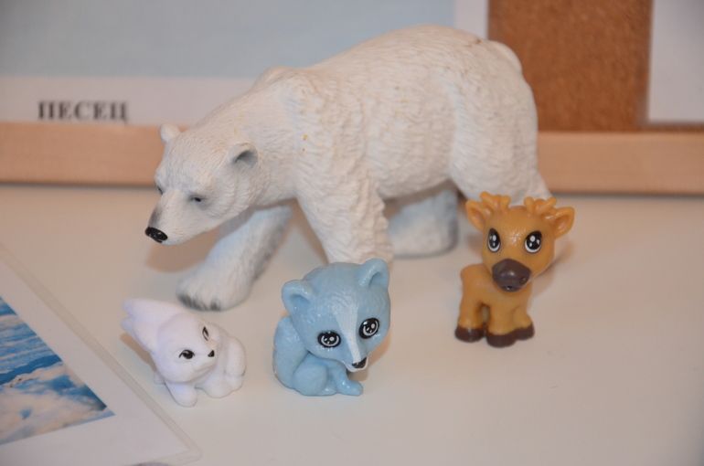 ТН Арктика и Антарктида. День 3.