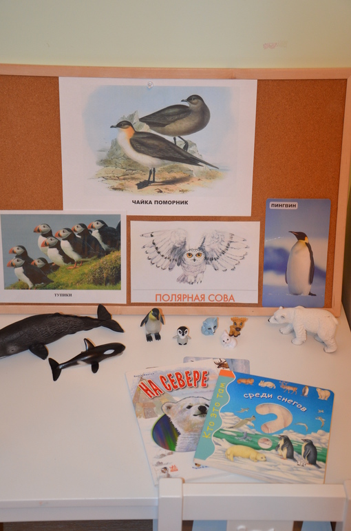 ТН Арктика и Антарктида. День 4.