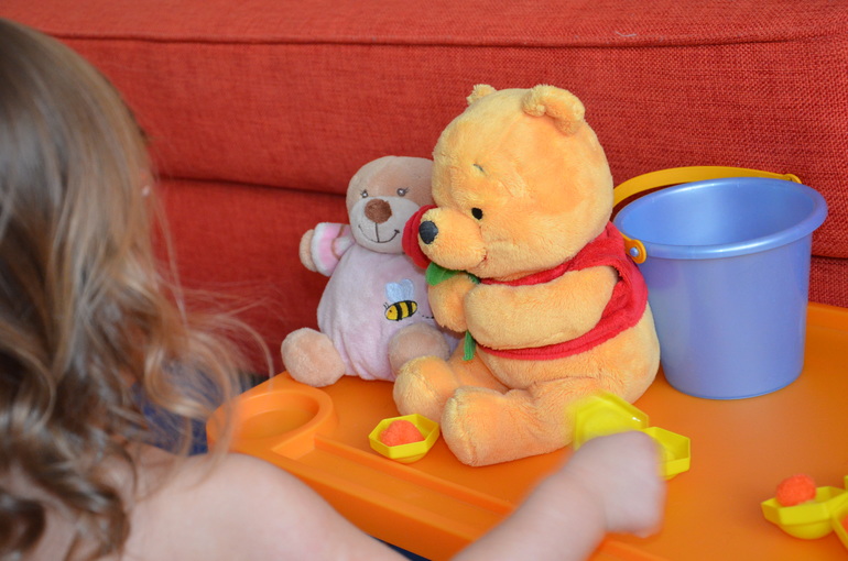 ТН Насекомые. Пчела.