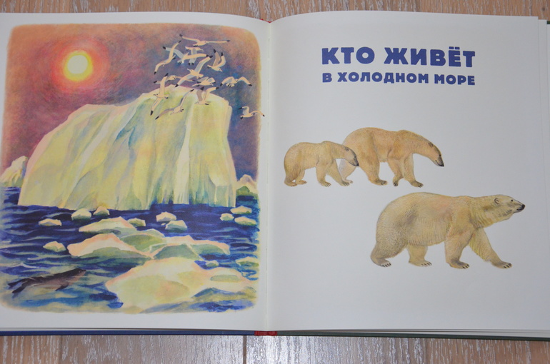 Наши книжечки в 1 год и 8 месяцев