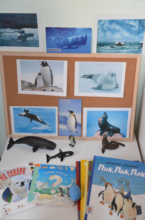 ТН Арктика и Антарктида. День 2.