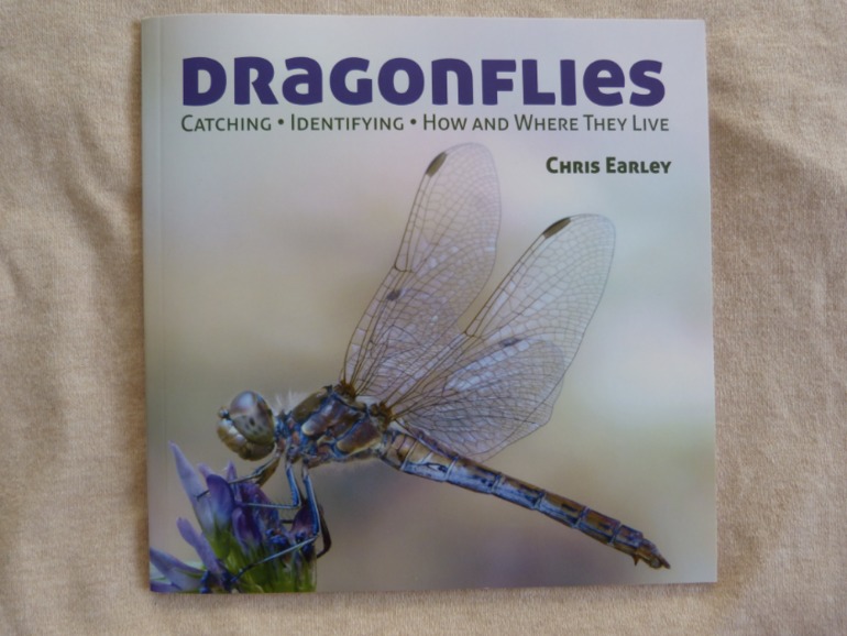 Пополнение библиотеки сентябрь 2