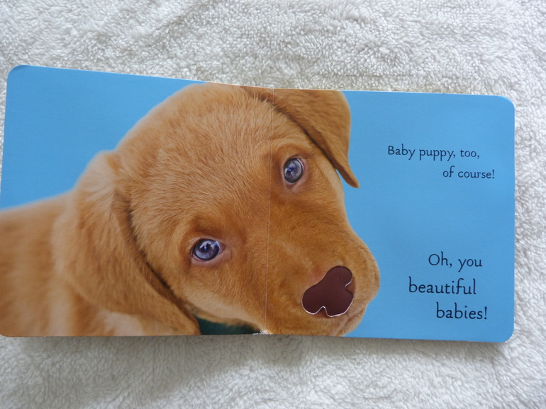 Наше чтение с 16,5 месяцев до 17,5 месяцев)