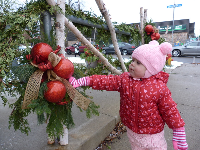 ТН Дикие животные. Ёж