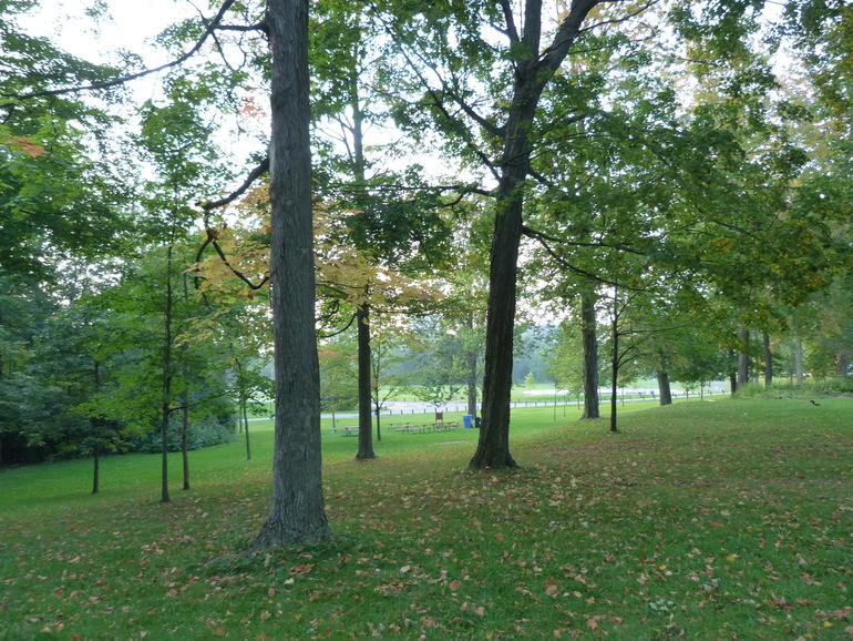 Теплый осенний денек