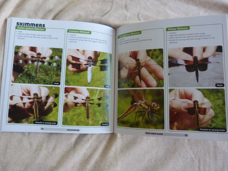 Пополнение библиотеки сентябрь 2