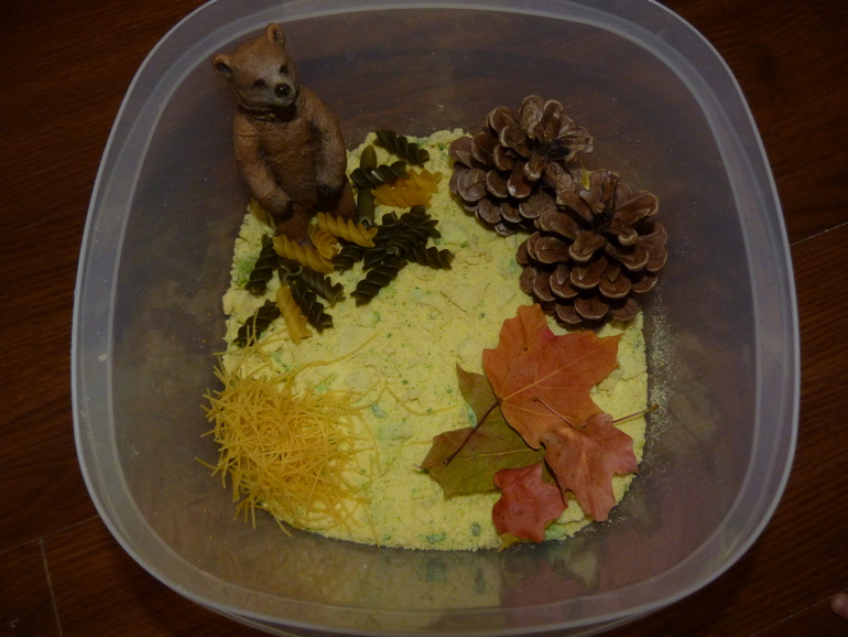 ТН Дикие животные. Медведь.